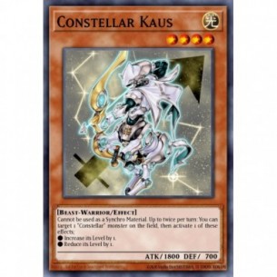 Costellazione Kaus