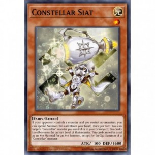 Costellazione Siat