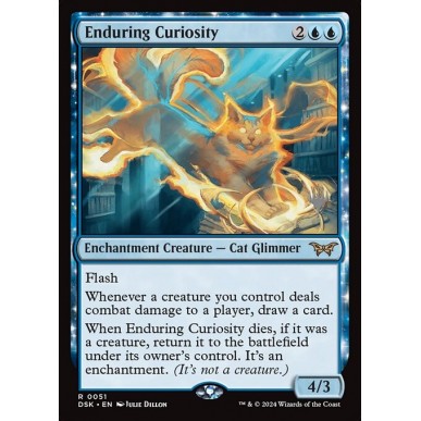 Enduring Curiosity
