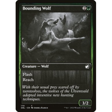 Bounding Wolf