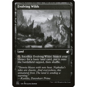 Evolving Wilds