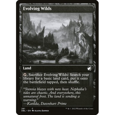Evolving Wilds