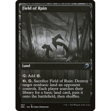 Field of Ruin