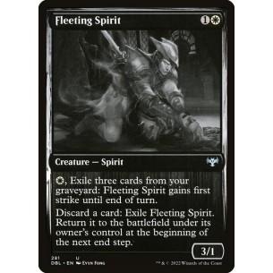 Fleeting Spirit