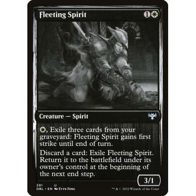 Fleeting Spirit