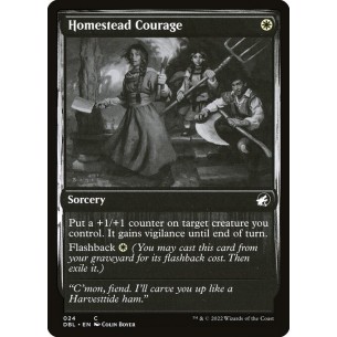 Homestead Courage