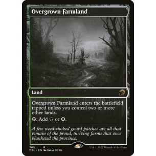 Overgrown Farmland