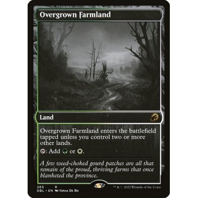 Overgrown Farmland