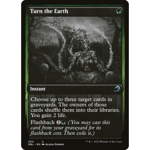 Turn the Earth