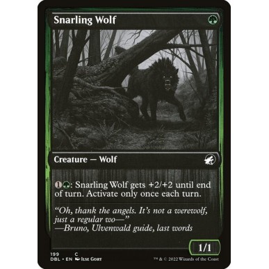 Snarling Wolf