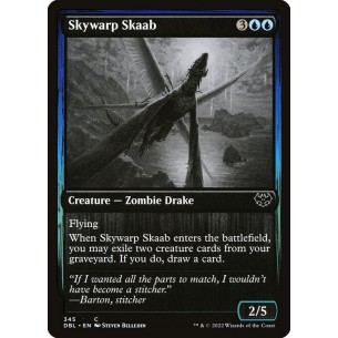 Skywarp Skaab