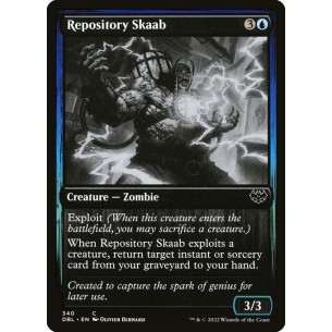 Repository Skaab