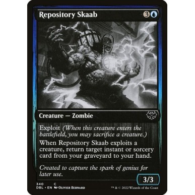 Repository Skaab