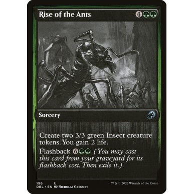 Rise of the Ants