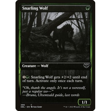 Snarling Wolf