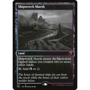 Shipwreck Marsh