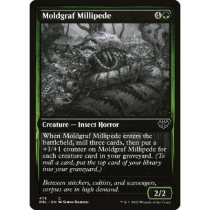 Moldgraf Millipede