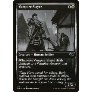 Vampire Slayer