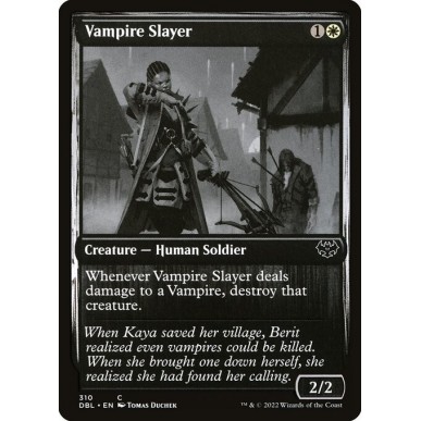 Vampire Slayer