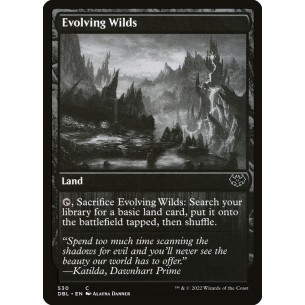 Evolving Wilds