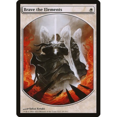 Brave the Elements