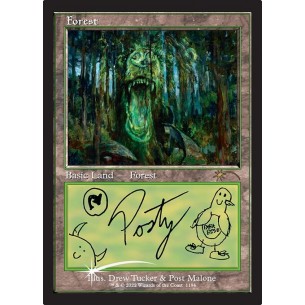 Forest