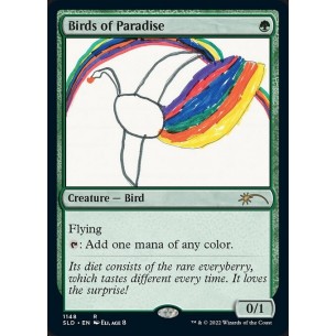 Birds of Paradise
