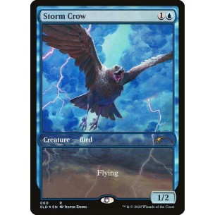 Storm Crow