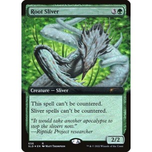Root Sliver