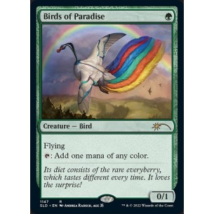 Birds of Paradise