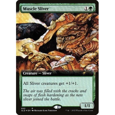 Muscle Sliver