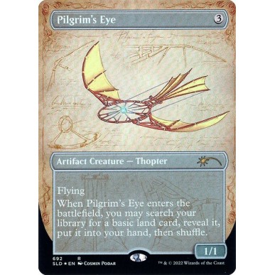 Pilgrim's Eye