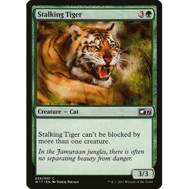 Stalking Tiger