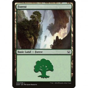 Forest