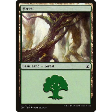 Forest