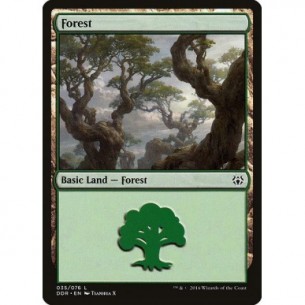 Forest