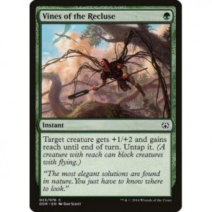 Vines of the Recluse