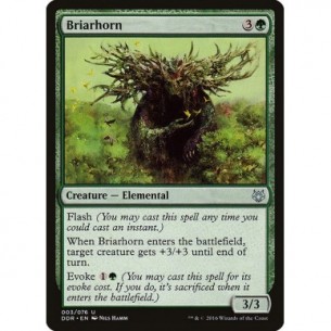 Briarhorn