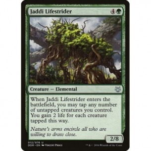 Jaddi Lifestrider