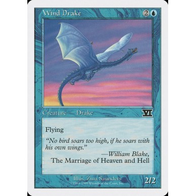Wind Drake
