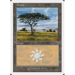 Plains