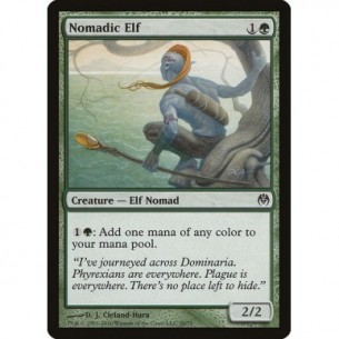 Nomadic Elf