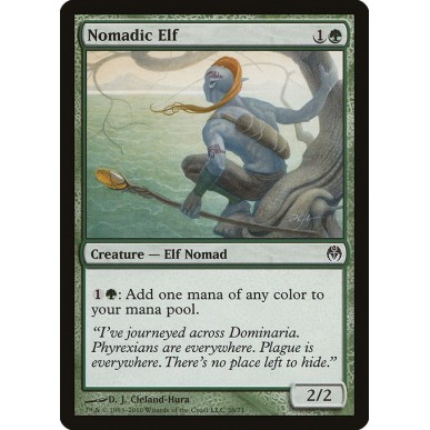 Nomadic Elf