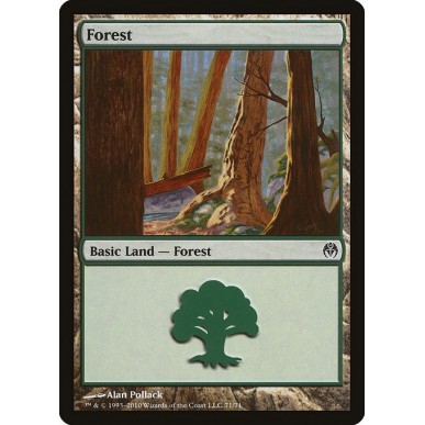 Forest