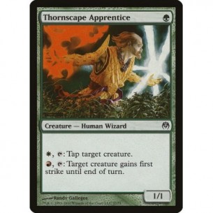 Thornscape Apprentice