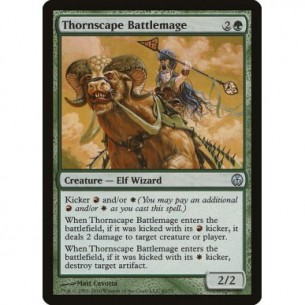 Thornscape Battlemage