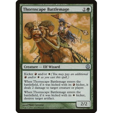 Thornscape Battlemage