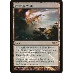 Evolving Wilds