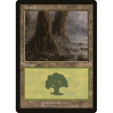 Forest
