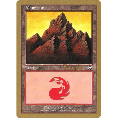Mountain